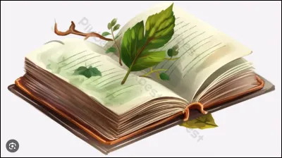 Quelle est ton activite favorite ?