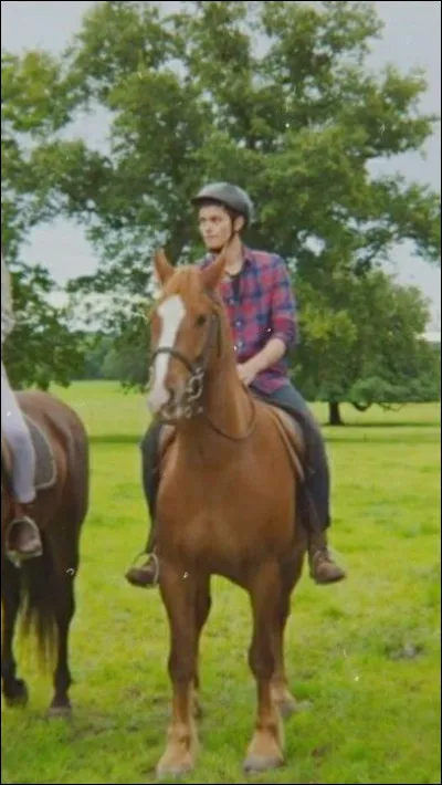 Comment s'appelle le cheval de Pin ?