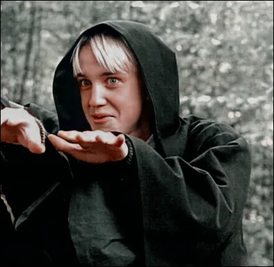 Même question que la précédente. Que penses-tu de Harry Potter ?