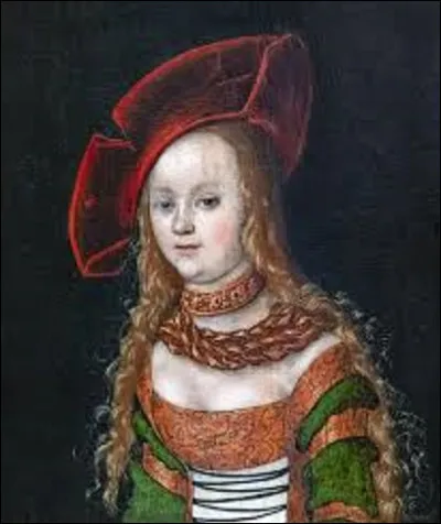 Huile sur panneau de bois, ''Portrait de jeune fille en buste'' est un tableau Renaissance. Quel artiste a réalisé cette peinture entre 1525 et 1530 ?