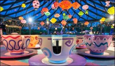 Quelle est cette attraction qui nous fait virevolter ?