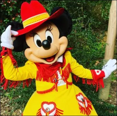 A-t-on la possibilité de faire des photos à Disney avec Minnie, Peter Pan, Pluto, Spider-Man ?