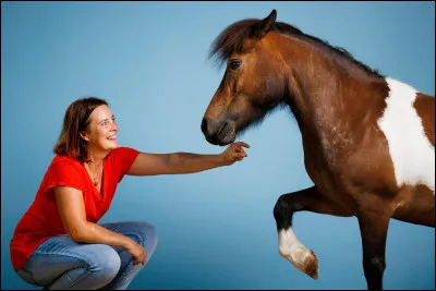 Qui serait ton poney ? (J'ai préféré mettre les poneys que l'on voit le plus souvent.)