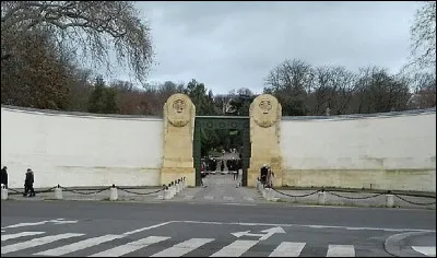 Quelle arme est un marassau ?