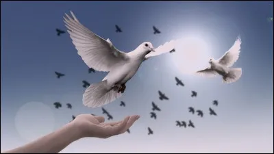 Quelle chanteuse est l'interprète du titre ''Mille colombes'' ?