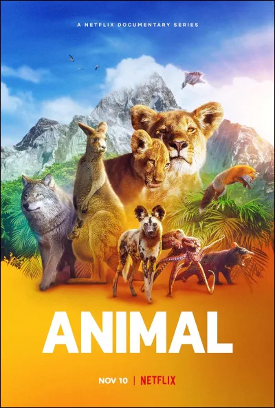 Quel est ton animal préféré parmi ceux-ci ?