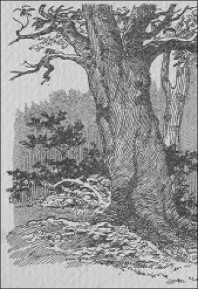 Tuer ne suffisait pas... il lui tranche aussi la tête.
Où l'enterre-t-il ?