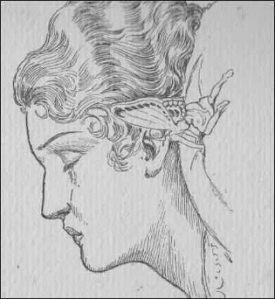 Quand le Sylphe sort de sa cachette, où se glisse-t-il ?