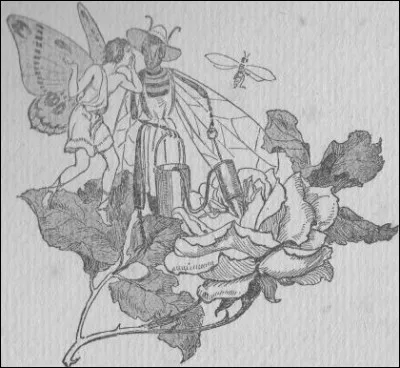 Comment le tendre mais déterminé Sylphe réagit-il ?