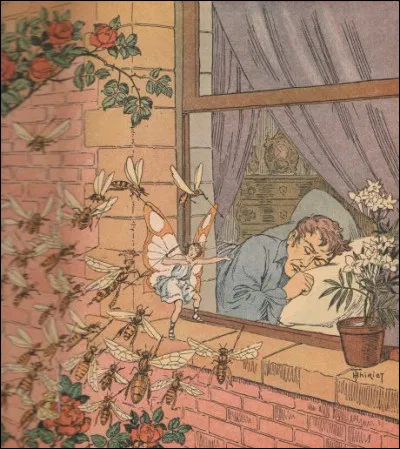 Que se produit-il avec les magnifiques fleurs blanches ?