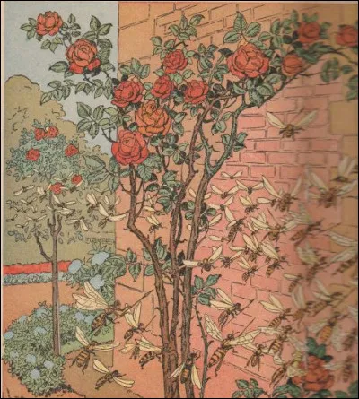 Au matin, arrivent les bataillons des abeilles.
Le meurtrier était déjà mort et les abeilles s'en réjouirent. Qui font-elles ?