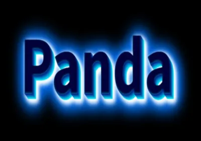 Que signifie le nom ''panda'' ?