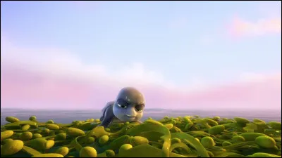 En parlant de ce film, Ray (la petite tortue noire) est une tortue...