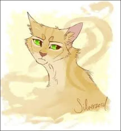 Tempête de Sable est-elle la grand-mère de Feuille de Houx ?