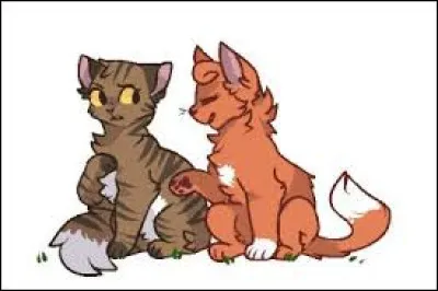 Laquelle de ces trois chattes est la tante de Feuille de Houx ?