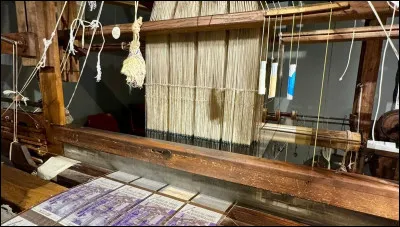 Quels est le talent méconnu d'Athéna ?