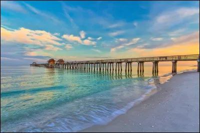 Dans quel État américain le comté de Collier est-il situé ?