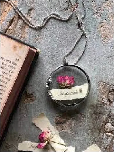 A qui doit-on le roman "Le Collier de la reine" ?