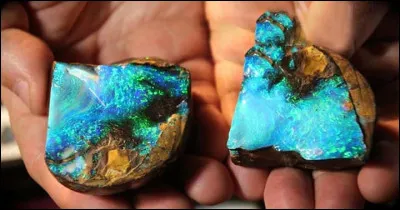 On peut sonner mon premier, mon second coupe, un rapace peut utiliser mon troisième, mon tout fut périodique !