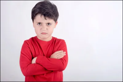 Comment s'appelle l'étape de l'enfance à l’âge adulte ?