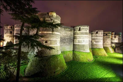 Dans quelle ville du Maine est située cette forteresse médiévale aux 17 tours dotée d'un jardin suspendu et une belle chapelle ?