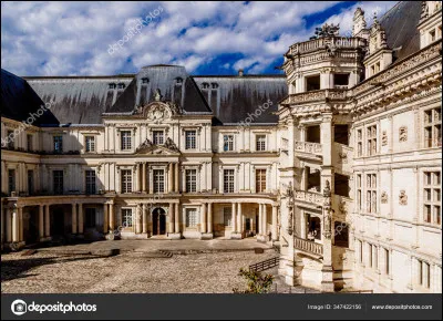 Connu pour être le théâtre de l'assassinat du duc de Guise et par son escalier octogonal monumental de type à vis hors-uvre, quel est ce château royal du Loir-et-Cher ?