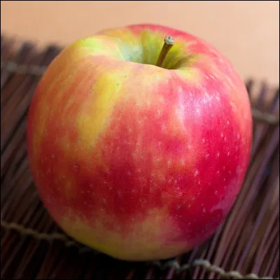 Sous quel nom est plus connu Sandra Fabara ?