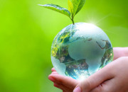 Quiz Quizz Journe de l'environnement