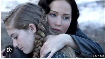 Et maintenant, une petite aventure... C'est le jour de la moisson, tu te trouves devant l'hôtel de justice avec ton frère ou ta sur. Ce dernier ou cette dernière est appelé(e). Sauf qu'il/elle n'a que douze ans ! Que fais-tu ?