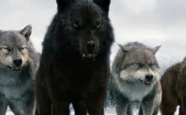 Quiz Test de personnalit�