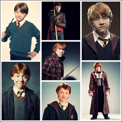 Dans les livres, Ron a...