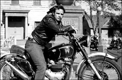 Quel film a révélé Marlon Brando et le blouson noir en 1953 ?
