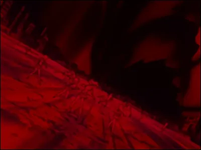 Qui d'autre que Raya a eu la prémonition que le monde va être détruit ?