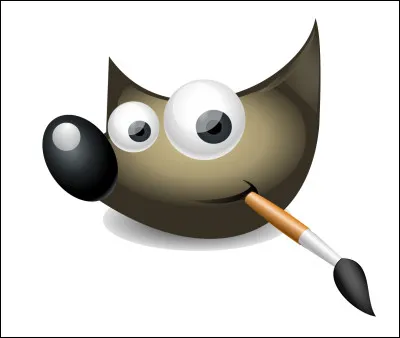 Quel est le nom de ce logo d'application ?