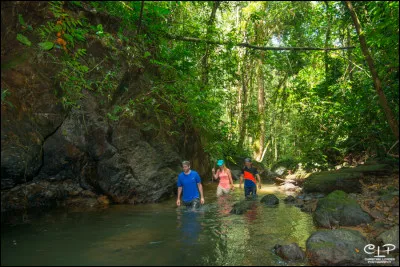 Comment se nomme la forêt tropicale ?