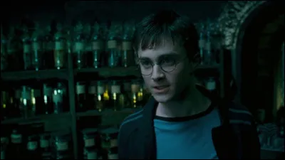 Le Prince de sang mêlé - En pleine nuit, Harry a une vision terrifiante d'une attaque de serpent géant contre Mr Weasley. Il est conduit au sous-sol par Rogue à la demande expresse de Dumbledore, pour recevoir un enseignement particulier, l'occlumancie...