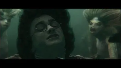 La Coupe de feu - Harry a perdu du temps dans l'épreuve du Lac Noir, et l'effet de la branchiflore, la plante lui permettant de respirer sous l'eau, s'amenuise rapidement tandis que l'épuisement le guette et qu'il est entrainé vers le fonds