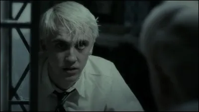 Le Prince de sang mêlé - Les toilettes deviennent le lieu d'un combat violent entre un Harry nerveux et suspicieux et un Drago épuisé, mal à l'aise et apeuré du fait de la mission que lui a confiée Voldemort. Et soudain le combat cesse...