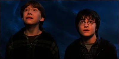 La chambre des secrets - Au coeur de la dangereuse forêt interdite, sur la piste de l'héritier de Serpentard, Ron et Harry interrogent un témoin sur les conseils de Hagrid, témoin bien poilu, mais qui n'est pas vraiment seul...