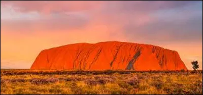 Tourisme : Uluru/Ayers Rock est un haut lieu du tourisme en Australie. Quelle est la hauteur de ce monolithe rouge ?
