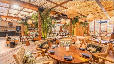 Quel est l'intrus parmi ces mots ?