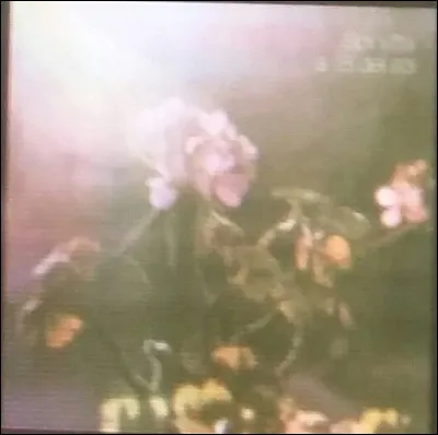 Attribue-toi une qualité :