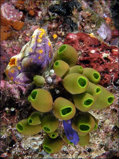 Article de bureau, c'est l'...