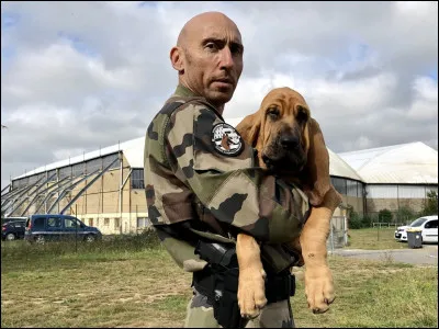 Coucou, je travaille chez les militaires et les gendarme en tant que chien de piste. Je suis un...