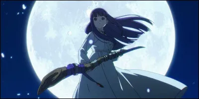 Quel est ce personnage de manga ?