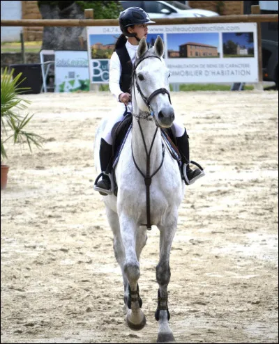 Quel caractère préfères-tu chez un cheval ?