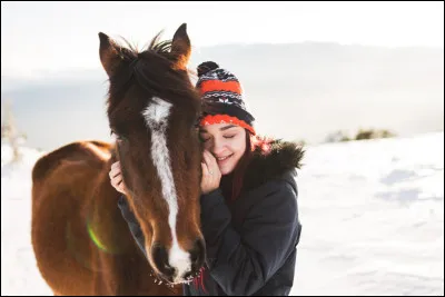 Qu'aimes-tu chez les chevaux ?