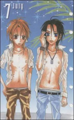 Voici Houx & Saule , qui sont-ils ?