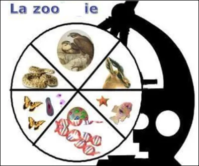 Quelle est cette partie en Z des sciences naturelles qui étudie les animaux ?