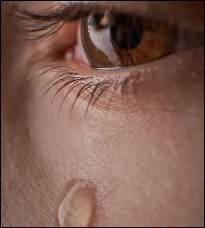 Est-ce que vous vous êtes déjà disputées virtuellement ?